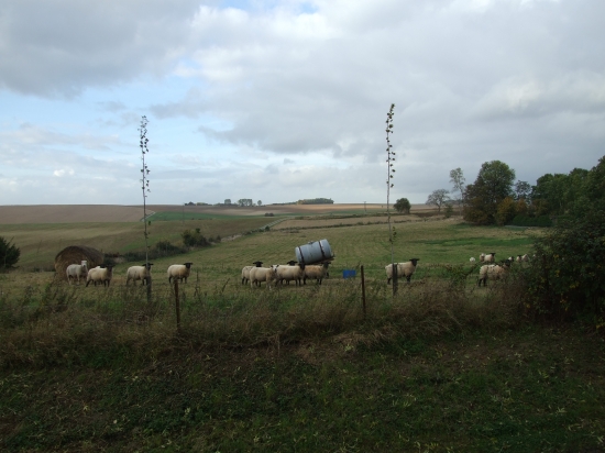 Des curieux